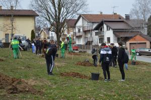 U PARKU U NASELJU VILA ZASAĐENO 20 NOVIH STABALA
