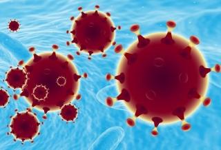 ODLUKA STOŽERA &ndash; OD 15. LIPNJA SPORTSKA NATJECANJA UZ PRISUSTVO GLEDATELJA