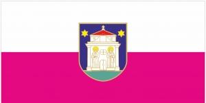 RASPISANI IZBORI ZA ČLANOVE VIJEĆA MJESNIH ODBORA NA PODRUČJU GRADA ĐAKOVA