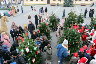 NAJMLAĐI OKITILI BOŽIĆNE JELKE NA TRGU J. J. STROSSMAYERA