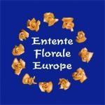 Đakovo kandidat za Zlatni cvijet Europe