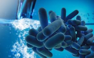 ZAKLJUČAK O PROVEDBI PREVENTIVNIH POSTUPAKA SUZBIJANJA LEGIONARSKE BOLESTI