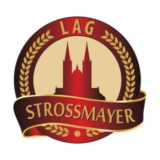 LOKALNA AKCIJSKA GRUPA ,,STROSSMAYER&ldquo; OBJAVILA  2. NATJEČAJ