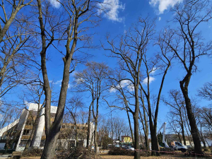 RADOVI U MALOM PARKU DO 22. VELJAČE