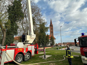 U INTERESU JAVNOG ZDRAVLJA I SIGURNOSTI PROVEDENE AKTIVNOSTI