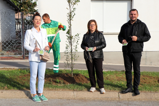 KROZ PROJEKT &bdquo;HRVATSKA PRIRODNO TVOJA&ldquo; U ĐAKOVU POSAĐENE 22 NOVE SADNICE OBIČNOG GRABA - -  Carpinus betulus ''Lucas''