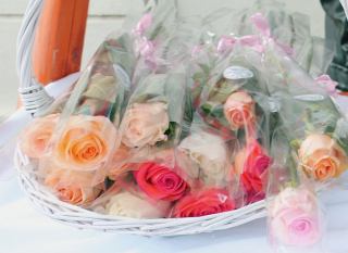 RUŽE ZA SUGRAĐANKE